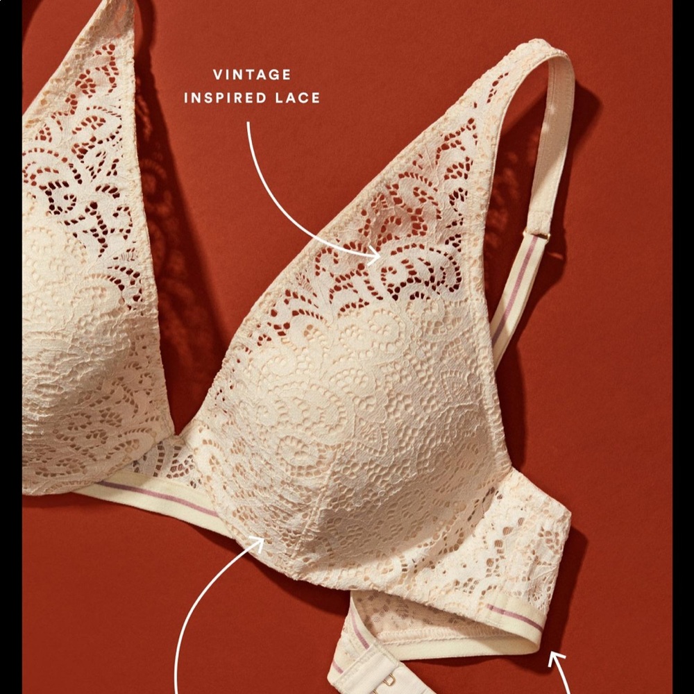 NWOT ThirdLove Artisan Lace Plunge Bra